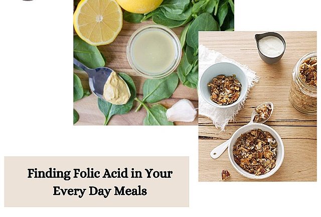 Folic-Acid-in-Your-Meals
