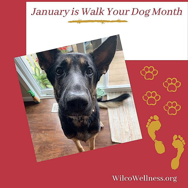 January-Walk-Your-Dog
