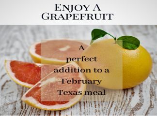 Enjoy-a-grapefruit