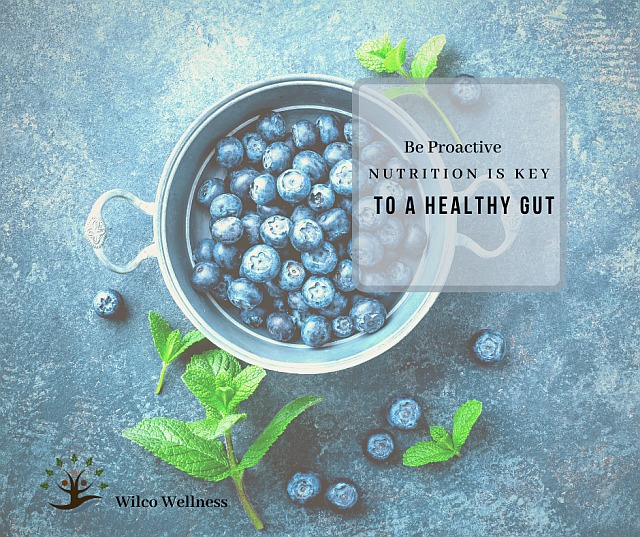 Healthy-Gut-Nutrition and Immunity