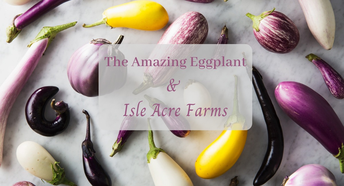 Eggplant and Isle Acre Farms