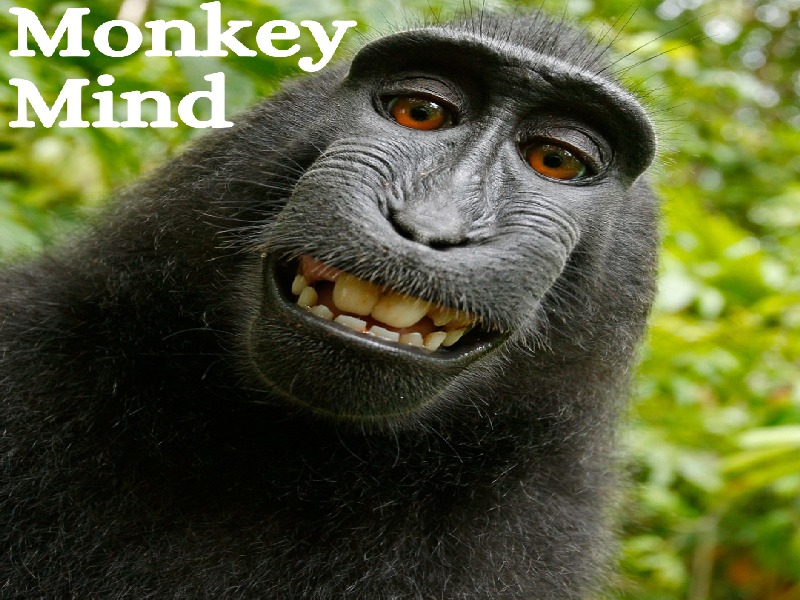 Tame Your Monkey Mind