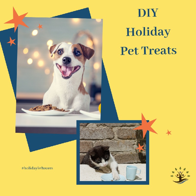 Holiday pet treats