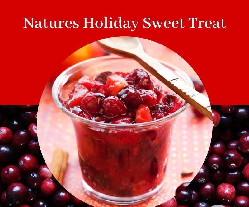 Natures-Holiday-Sweet-Treat - Cranberries