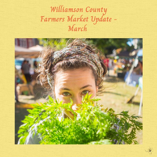 MArch Farmers Market Wilco Wellness