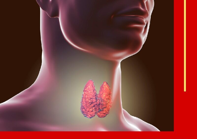 Learn More About A Healthy Thyroid