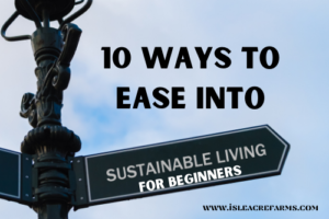 sustainable living for beginners