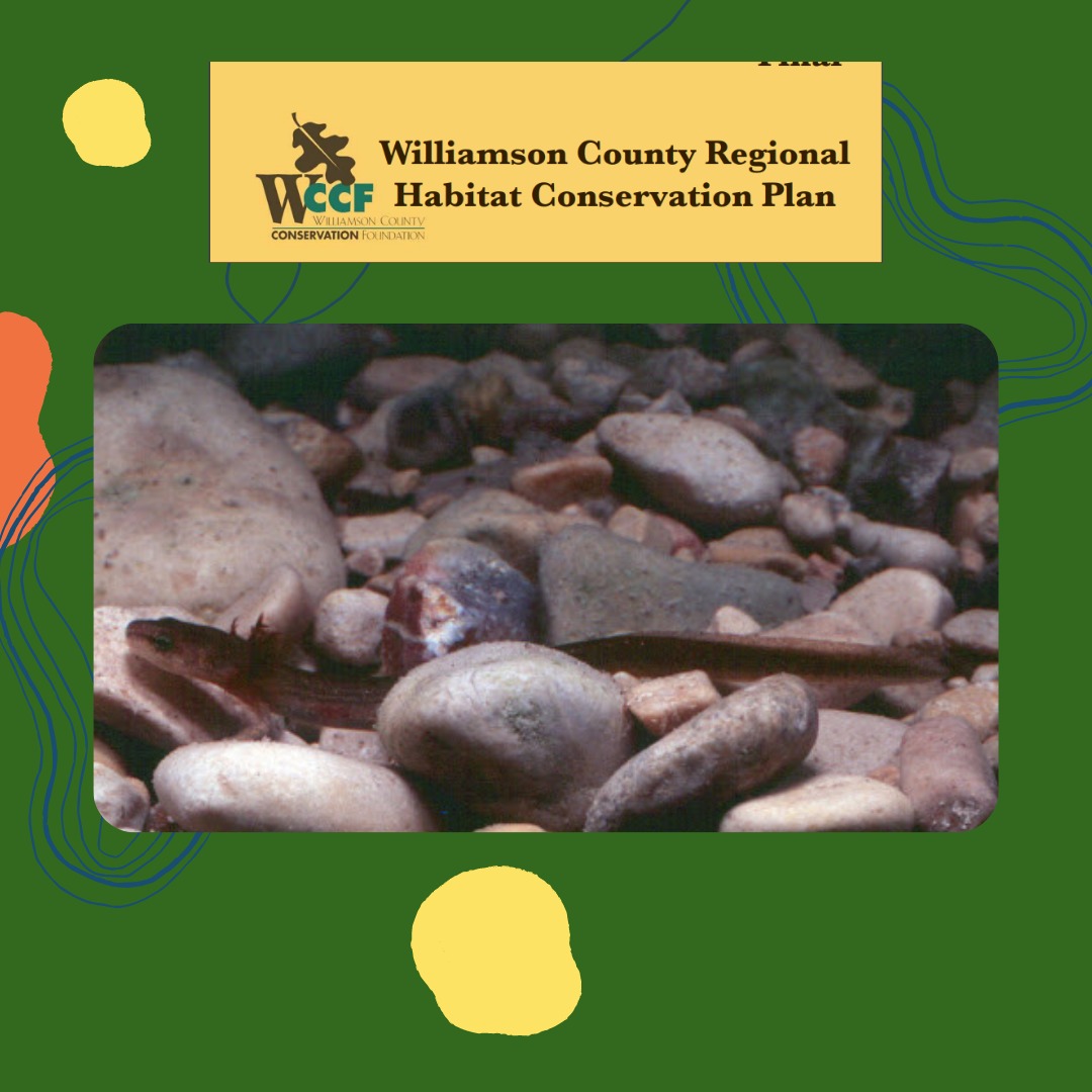 Conservation Day in Williamson County Wilcowellness