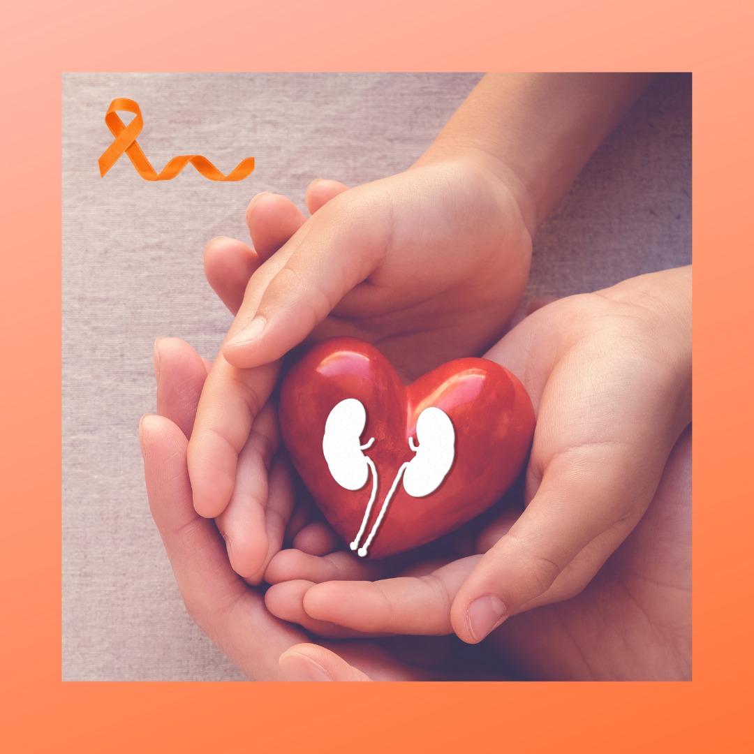 Take care of Your Kidneys WilcoWellness