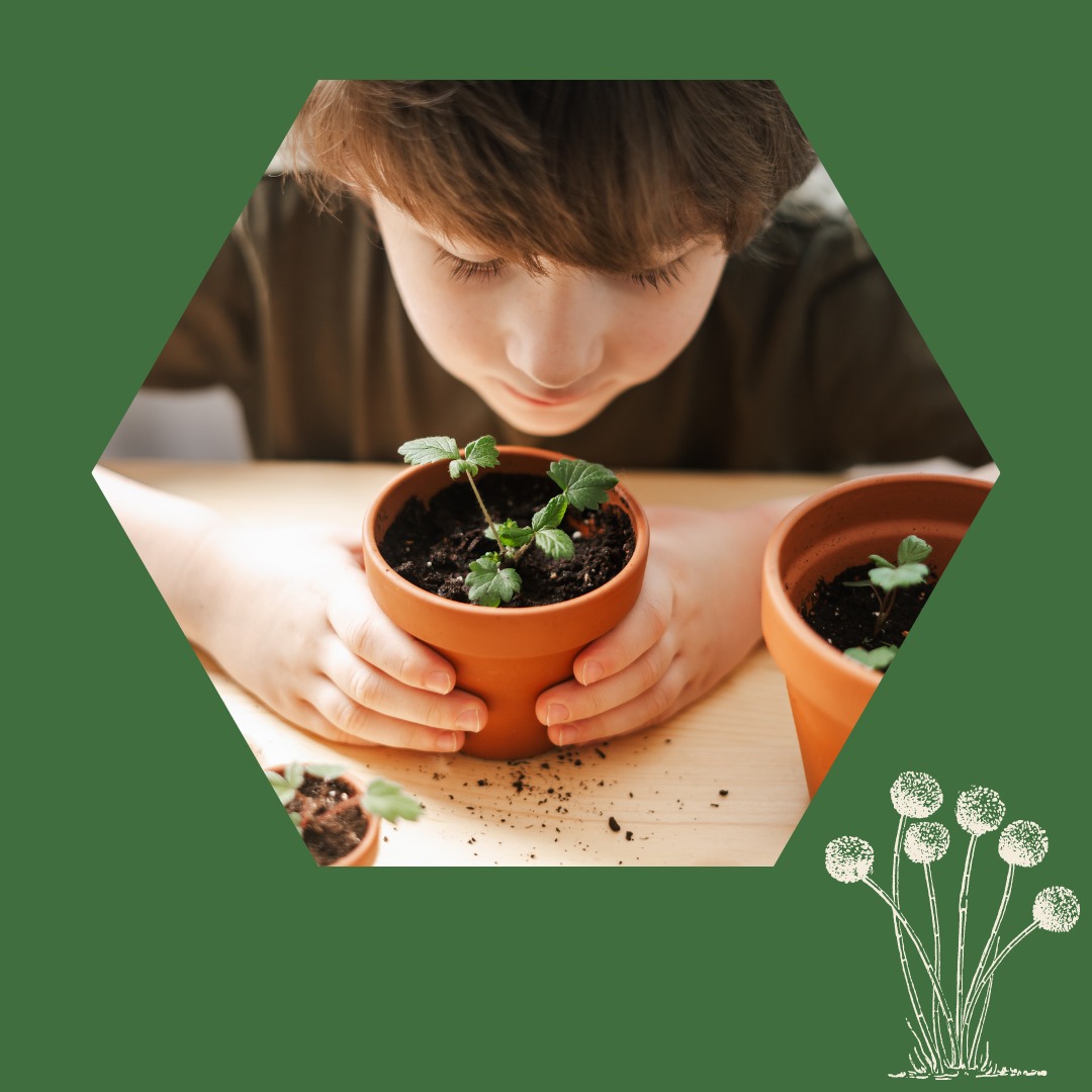 KIds Discover Ecology in the Garden Wilcowellness
