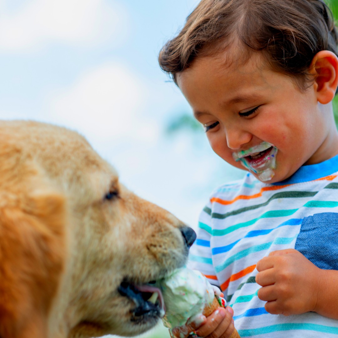 A-little-Ice-Cream-for-the-Puppy.